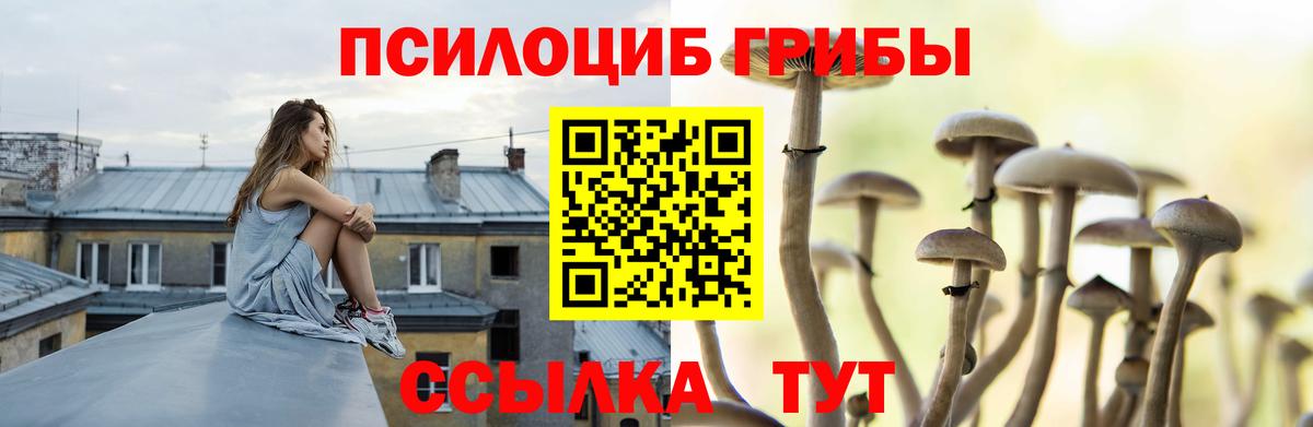 Псилоцибиновые грибы мицелий  Вход с VPN  Дагестанские Огни  Псилоцибиновые грибы GOLDEN TEACHER 